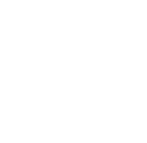 Klier Immobilien